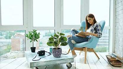 AlphaAcc Fake Faux Fiddle Leaf Fig Cement Planter Housewarming Desk Decor - color: Green Fiddle Leaf Fig Plant