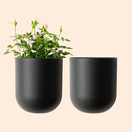 LA JOLIE MUSE Wall Planters for Indoor Plants, Hanging Flower Pots, 2 Pack - color: Black