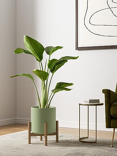 LE TAUCI 10+8+6 Inch Ceramic Pots for Plants, Indoor Planters with Drainage Hole and Plug, Modern Cylinder Flower Pots Set of 3 for Living Room and Kitchen, Glossy, Sage Green - color: Sage Green