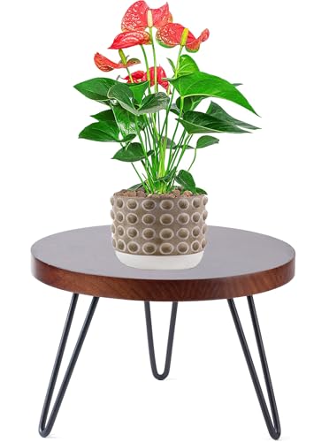 Plant Stand Indoor Outdoor, Wooden plant Stool, Mid Century Plant Stand for Indoor Plants, Wood Modern Plant Holder Rattan Flower, Low Short Boho Rustic Planter Stand Fit 5-15 Inch Pot (Walnut, M)