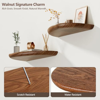 Solid Walnut Floating Shelves for Wall 15.7" Set of 2, Wall Mounted Shelf - color: Walnut