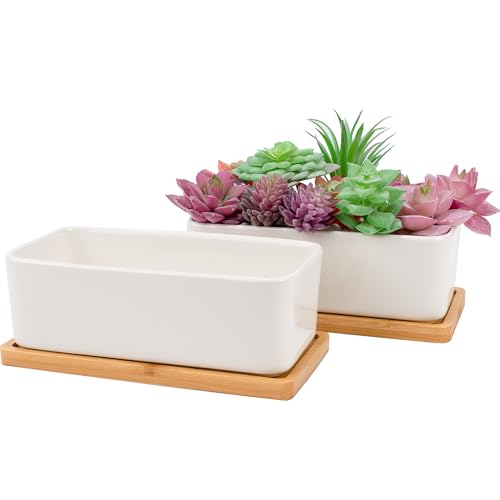 2 PCS Succulent Pot Cactus Containers White Ceramic Planter with Drainage Hole and Removable Tray Small Plant Pots for Home Office Decor Bonsai Container for Indoor Outdoor Plants (Rectangle) - size: Rectangle, style: Rectangle