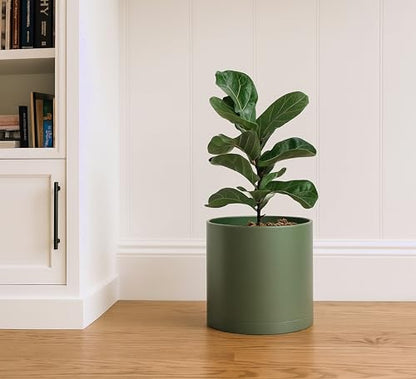 D'vine Dev Plastic Planter Pot with Saucer, 10 in, Olive, 74-X-I-2 - color: Olive, size: 10"