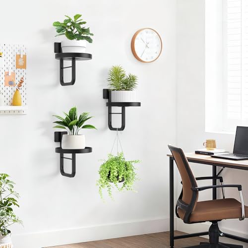 2 Pack Wall Plant Holder for Hanging Planters Indoor Outdoor Black - color: Black-2Pcs20cm