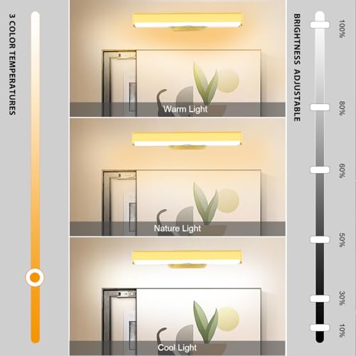 EUIOKUN LED Picture Light Battery Operated Wall Sconces for Wall Decor 2Pcs - size: 2Pack Gold