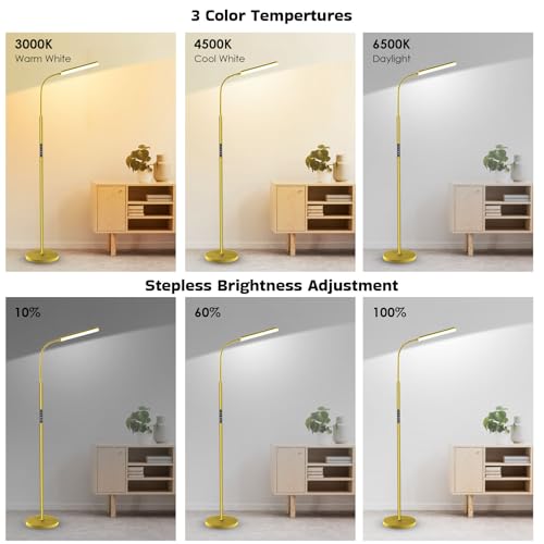 Dimunt LED Floor Lamp, Stepless Adjustable 3000K-6000K Colors, Golden - color: Golden
