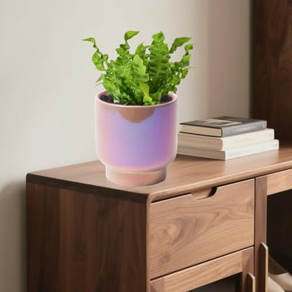 Pink Ceramic Plant Pots - Succulent Flower Small Planter, Pot for Indoor Outdoor Garden Plants with Drainage Holes - Plants Not Included 4.33 X4.33 Inch - color: Pink Gradient