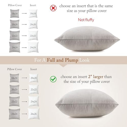 puredown® Euro Pillow Inserts 24 x 24 (Pack of 2, White), Feather Down Pillow Stuffer, White Throw Pillows for Bed, Couch, and Cushion - size: 24x24 Inch
