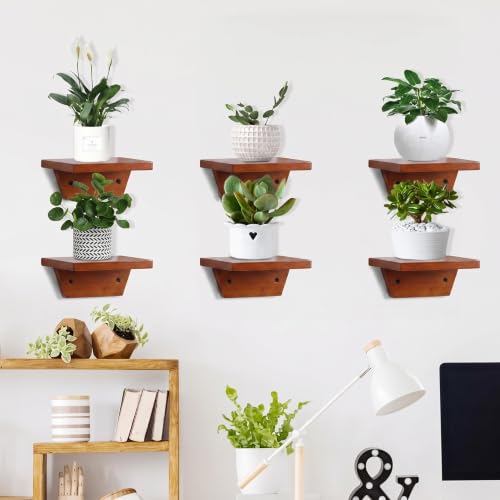 Small Wall Shelves,Speaker Shelf,Floating Shelf Trapezoid for Wifi Router - color: Light Walnut, size: Set of 4