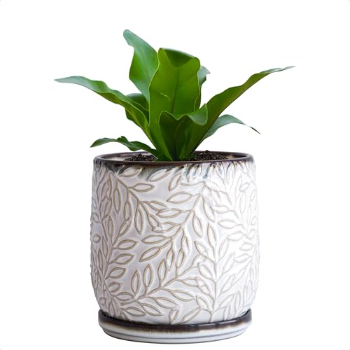 D'vine Dev Embossed Leaves Ceramic Planter, 5 in, Smoked White, 27-A-V-1 - color: Smoked White, size: 5 Inch