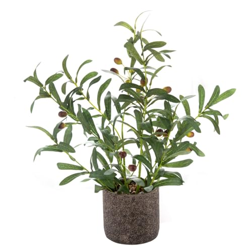 AlphaAcc Fake Faux Small Olive Potted Plant 18" Rustic Cement Planter - color: Green Olive Plant 18" H