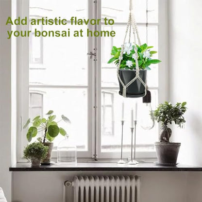 Macrame Plant Hangers, 20 inch Plant Hangers Indoor, Short No Tassels - size: 20inch