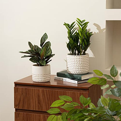 LA JOLIE MUSE Ceramic Plant Pots, Flower Pots for Indoor Plants, Set of 2 - color: Ivory