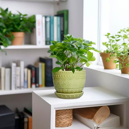 G EPGardening Ceramic Pots for Plants 5.5 Inch Round Ceramic Planter, Green - color: Palindrome Green