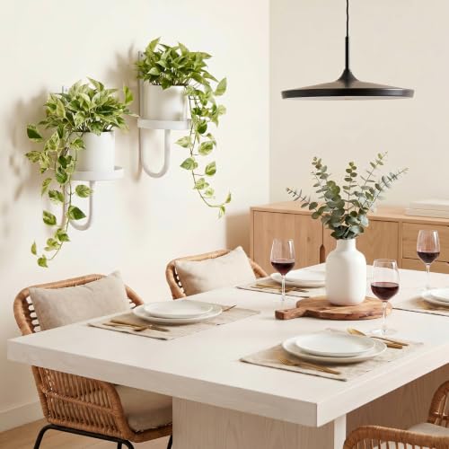 2 Pcs Wall Plant Holder Wall Mounted Hanging Planters for Indoor Plants Planters Shelf Metal Floating Stand for Living Room Bathroom Window(White)