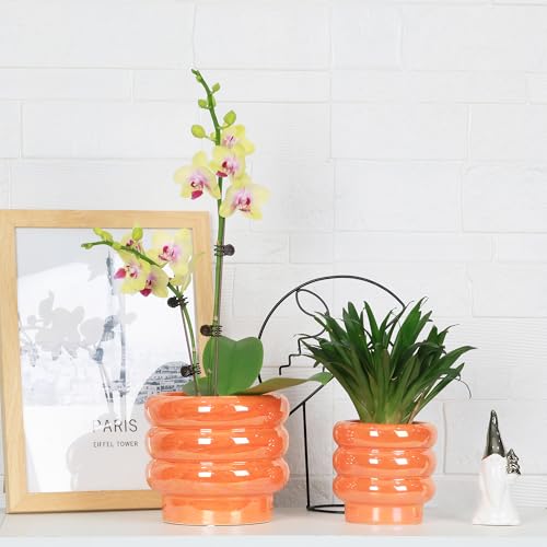 4 Inch Ceramic Succulent Pots, Small Plant Pots with Drainage - color: Orange, size: 4 Inch (Set of 4)