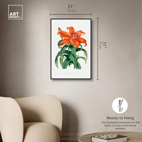 Art Remedy Botanical Prints Canvas, 20" x 30", Black Frame, Thunberg Orange Lily - color: Black Frame, size: 31"L x 21"W