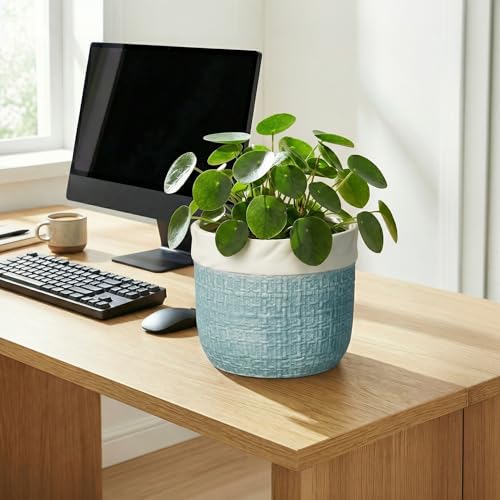Ceramic Planter, 8 Inch Plant Pot, Round Flower Pots, Blue - color: Blue, size: 8 Inch