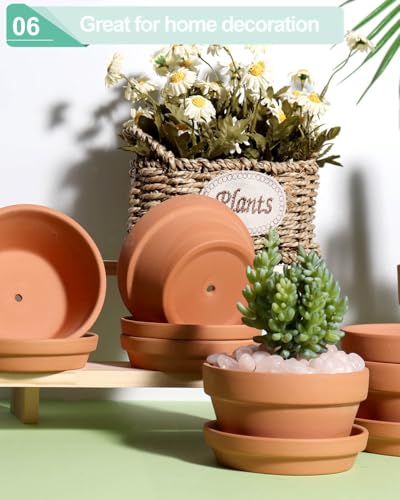 vensovo 4.5 Inch Terracotta Shallow Succulent Pots with Saucers, 6 Pack - color: Brown, size: 4.5 Inch