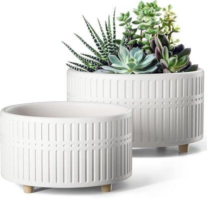 LE TAUCI Succulent Pots, 6.5+8 Inch Ceramic Indoor Plant Pot with Drainage Hole, Shallow Round Succulent Planters, Set of 2, Matte White - color: White