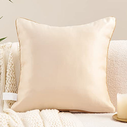 Avigers Throw Pillow Cover 18 x 18 Inch, Beige, Rayon Blend, Hidden Zipper - color: Beige, size: 18" x 18" (Pack of 1)