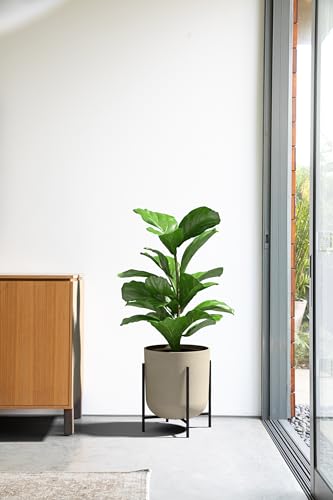 Veradek Mason Series Raised Lima Planter - Round Planter with Stand - color: Sand, size: 15 inch - 2 Pack