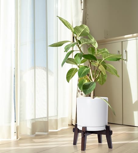 D'vine Dev Ceramic Planter with Wood Stand - 10 Inch Mid Century Modern Cylinder Indoor Plant Pot Set for Indoor Plants & Flowers, White, 55-A-X-1 - size: 10 inch