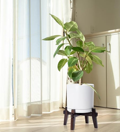 D'vine Dev Ceramic Planter with Wood Stand - 10 Inch Mid Century Modern Cylinder Indoor Plant Pot Set for Indoor Plants & Flowers, White, 55-A-X-1 - size: 10 inch