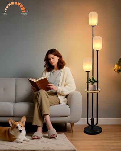 Lightdot Black Floor Lamp with LED Bulbs Included, 3 Light Dimmable Floor Lamps,Unique Modern Standing Tall Lamp for Bedroom/Living Room/Sofa Beside/Corner Decor - color: Oval Strip-Black