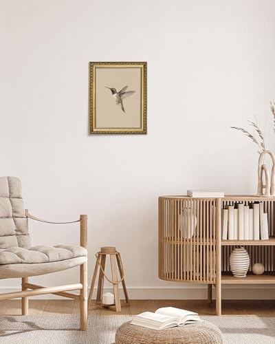 AIMAILON Framed Rural Hummingbird Pattern, Classic Animal Art Style 12x16 - color: Lonly Hummingbird, size: 16"L x 12"W