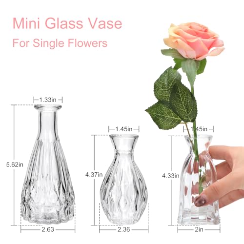 Glass Bud Vases in Bulk, 3pcs Small Glass Vase for Centerpieces - color: Clear, size: 3pcs