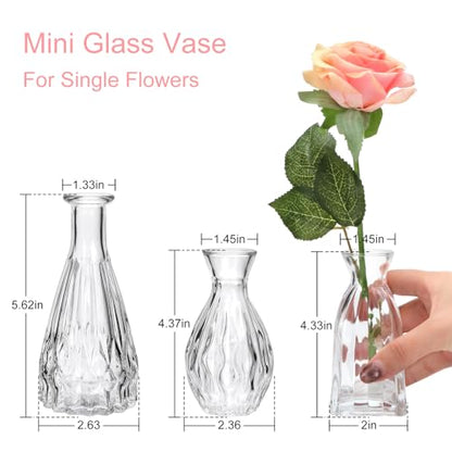 Glass Bud Vases in Bulk, 3pcs Small Glass Vase for Centerpieces - color: Clear, size: 3pcs