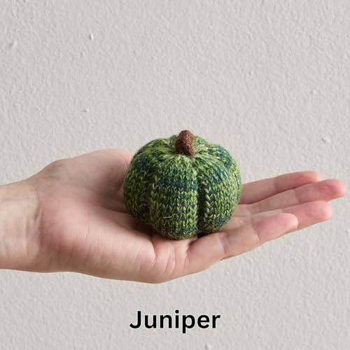 Cozy Mini Knit Pumpkins Set of 5 (Juniper 2.5 Inch Set) - color: Juniper Set 5