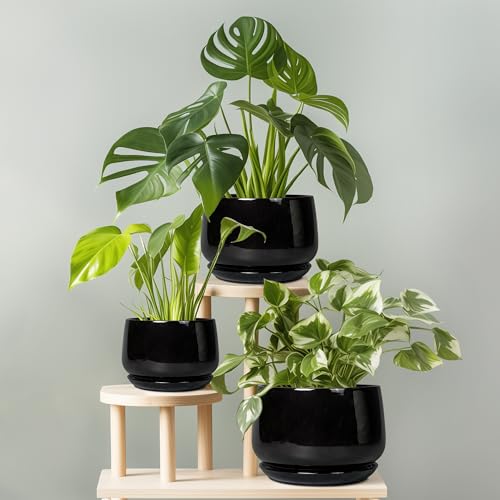 G EPGardening 6 Inch Planter, Ceramic Pot for Plants, Black - color: Black, size: 5 Inch