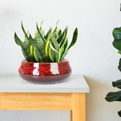 ARTKETTY Succulent Pots with Drainage, 8 Inch Large Plant Pots - color: Red