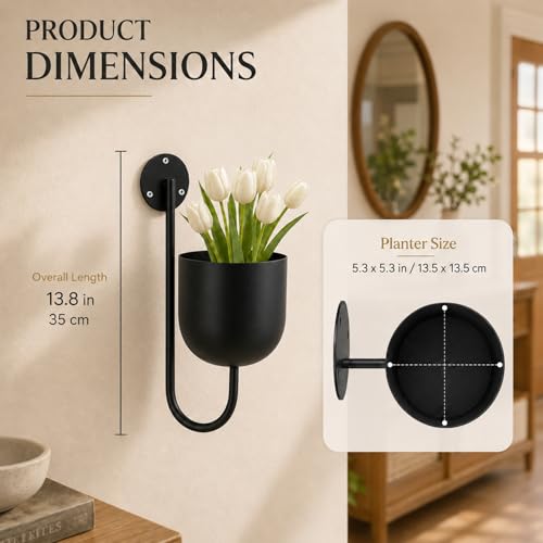 3 Pack Wall Mounted Plant Holders, Metal Hanging Planters & Wall Plant Decor