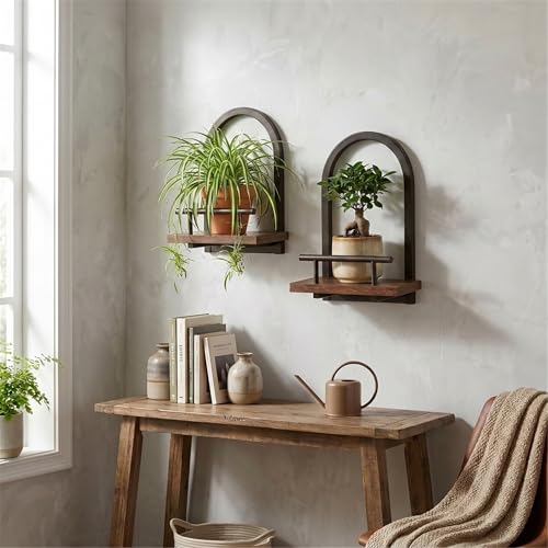 Amaoot Floating Shelves Set for 2, Wall Plant Holder Shelf, Wall Planters