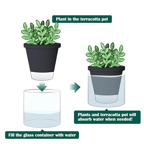 D'vine Dev Self-Watering Black Terracotta Planter Pot, 4 in, 37-X-A-3 - color: Black, size: 4 Inch