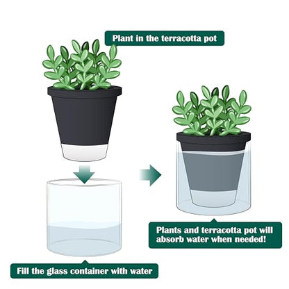 D'vine Dev Self-Watering Black Terracotta Planter Pot, 4 in, 37-X-A-3 - color: Black, size: 4 Inch