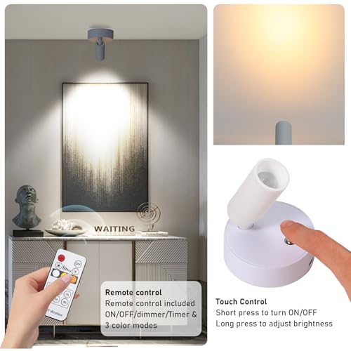 LED Wireless Spotlights with Remote Up Lights Indoor Dimmable Picture Light Battery Operated with Timer, Rechargeable Spot Lights Accent Uplighting for Plant Wall Art Dartboard - color: White