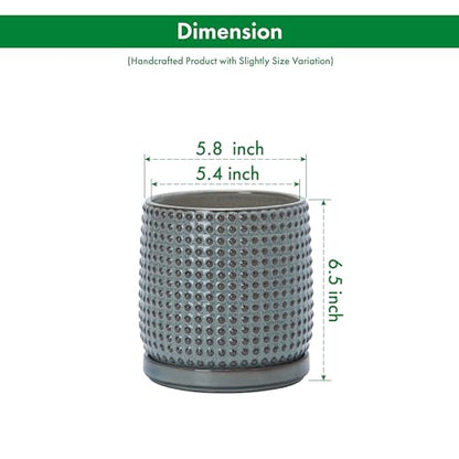 D'vine Dev Beaded Ceramic Pot with Saucer, 6 in, Graphite Blue, 27-C-X-9 - color: Graphite Blue, size: 5.8 Inch