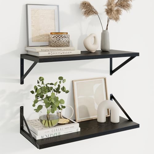 Axeman Deep Floating Shelves, 24'' x 10'' Black Wall Shelves Set of 2 - color: Black, size: 24W x 10D