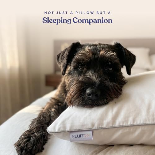 FluffCo Zen Fluff® Down Alternative Bed Pillows - Soft, Queen Size (1 Pack) - size: Queen (U.S. Standard)