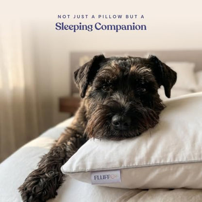 FluffCo Zen Fluff® Down Alternative Bed Pillows - Soft, Queen Size (1 Pack) - size: Queen (U.S. Standard)