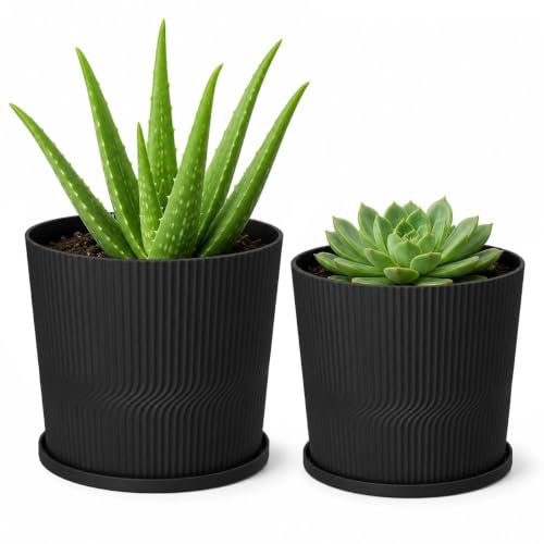 QCQHDU 2 Pack Plant Pots Indoor,4.8+5.5 Inch Succulent Pots,Small Flower Pots with Saucers & Drainage Bulk,Plastic Mini Pots for Orchids,Violets,Succulents,Herbs,and Other Plants - color: Black, size: 4.8''+5.5''