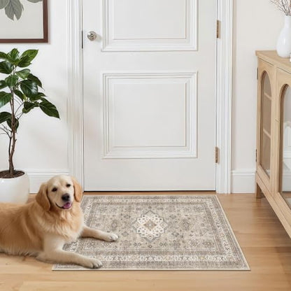 cotiled 2x3 Area Rug for Living Room, Washable, Traditional, Beige - color: Beige, size: 2' x 3' (Rectangular)