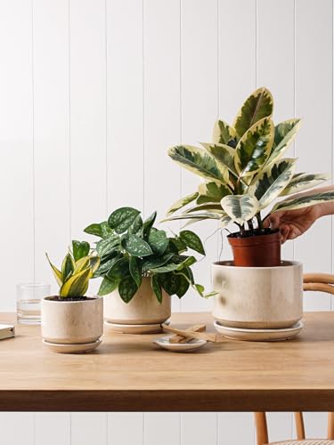 LE TAUCI Ceramic Pots for Plants, 4.3+5.3+6.8 Inch, Set of 3, Glazed Beige - color: Reactive Glaze Beige, size: 4.3"+5.3"+6.8"