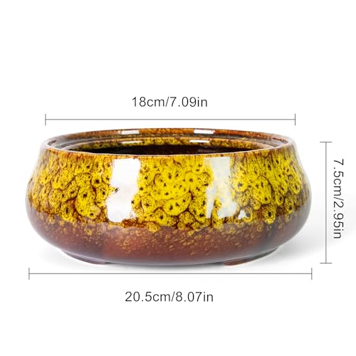 Bonsai Pots - 8 Inch Succulent Pots with Drainage, Shallow Planters - color: Yellow