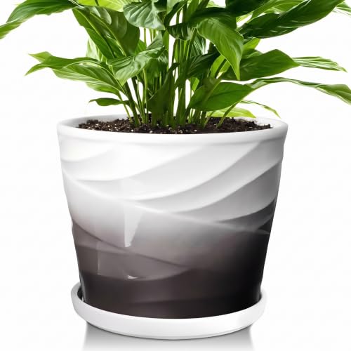 8 Inch Ceramic Plant Pot,Dark Gray+White - color: Dark Gray + White, size: 8 Inch-1 Pack