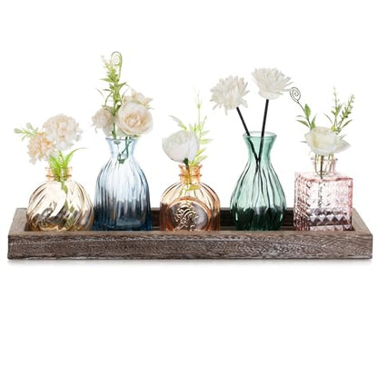 Glasseam Glass Bud Vases for Flower: 5 Pcs Small Vases with Wooden Tray - color: Colorful-embossed